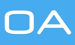 软件外包公司、OA系统开发功能有哪些？费用是多少-MK体育·(国际)官方网站公司[北京MK体育·(国际)官方网站]